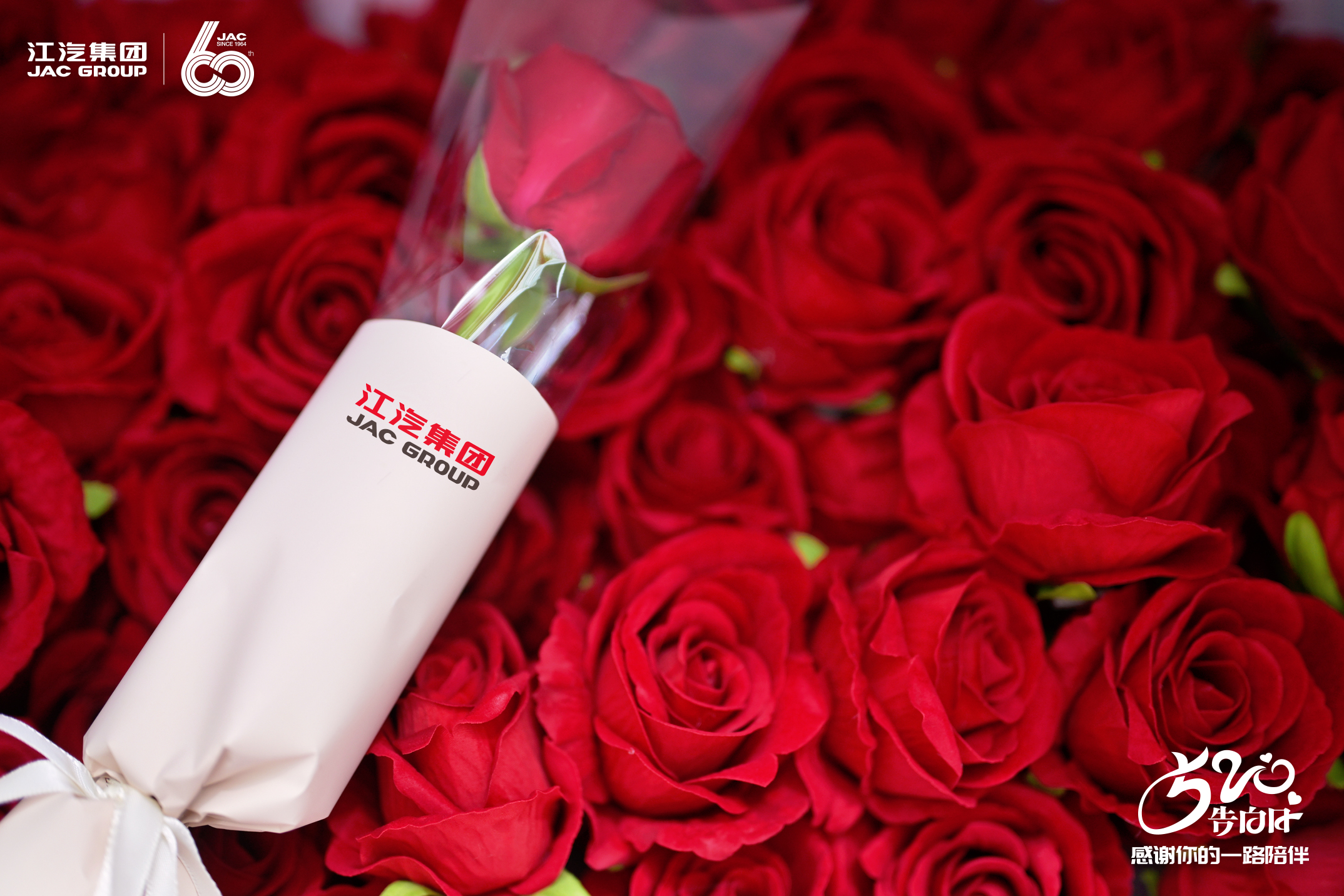 �ʶ�����(�й���)�ٷ���վ